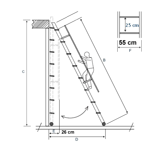 disegno grafico sspxl (2).jpg