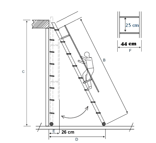 disegno grafico sspxl (2)_1_1.jpg